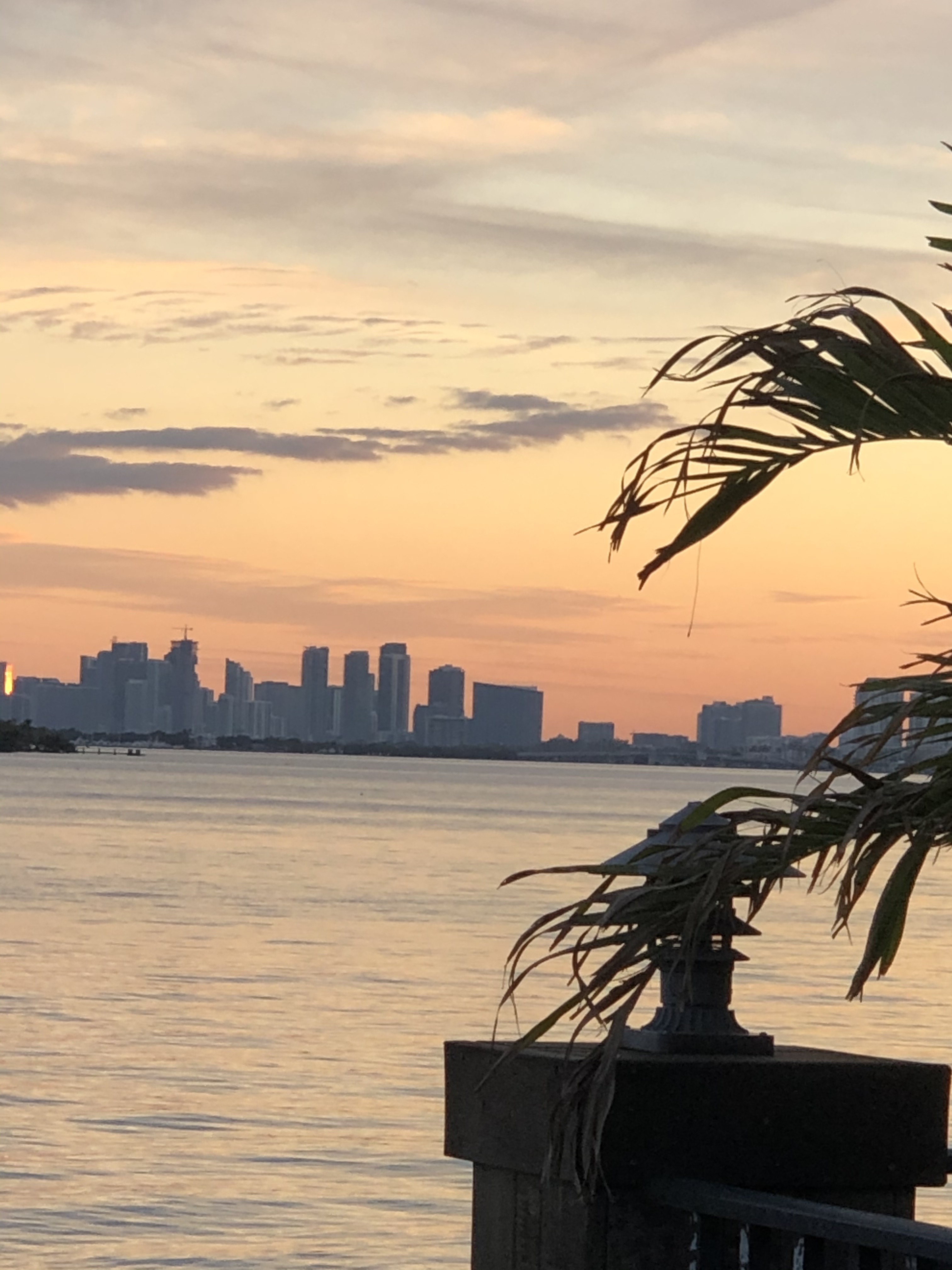 Waterfront on Biscayne Bay